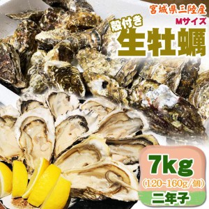 生牡蠣 7kg  Mサイズ 宮城県三陸産 殻付き 冷蔵  お取寄 おうちグルメ 送料無料 [Mサイズ 三陸産生牡蠣7キロ 二年子]