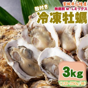 冷凍牡蠣 3kg 無選別 MLミックス 宮城県 三陸産 殻付き お取寄 おうちグルメ 送料無料 [三陸産 冷凍 牡蠣 無選別 MLミックス 殻付き 3kg]