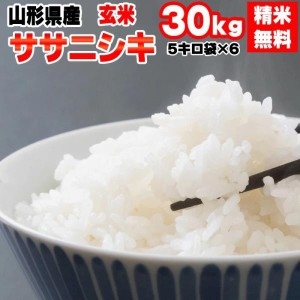 米 お米 5kg×6 ササニシキ 玄米30kg 令和5年産 山形産 白米・無洗米・分づきにお好み精米 送料無料 当日精米