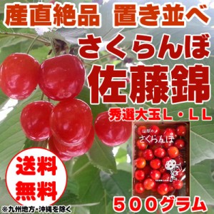 予約販売 さくらんぼ 佐藤錦 Lサイズ以上 秀選 山形県産  [佐藤錦置き並べ５００グラム] チルド便（クール便）