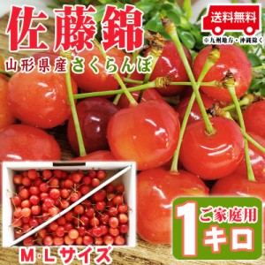 予約販売 さくらんぼ 訳あり ご家庭用 佐藤錦 1kg 山形県産  [佐藤錦ご家庭用ＭＬ１キログラム] チルド便（クール便）