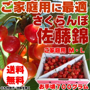 予約販売 さくらんぼ 訳あり ご家庭用 佐藤錦 700g 山形県東根産  [佐藤錦 Ｍ・Ｌ７００グラム] チルド便（クール便）