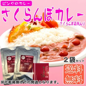 【送料無料】【メール便】ピンクのカレー さくらんぼカレー2袋【レビュー記載で送料無料】[さくらんぼカレー×2袋 L2] YP 即送