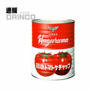 調味料 トマト ケチャップ 業務用 3.3kg 1 個 ハグルマ