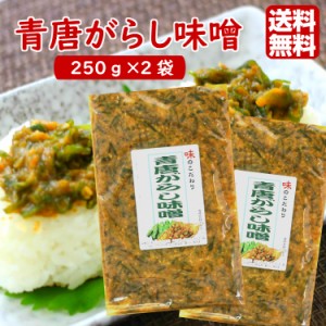 送料無料 青唐がらし味噌 (250g)  2袋セット ご飯のお供 お酒のおつまみ 青唐辛子味噌 青唐辛子 味噌 信州 馬場音一商店