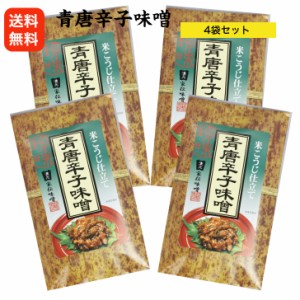 送料無料 青唐辛子味噌（竹紙） 4袋セット 青唐がらし味噌 青唐辛子 味噌 信州 辛子味噌 からし味噌 青唐辛子 米こうじ ごはんのお供 酒