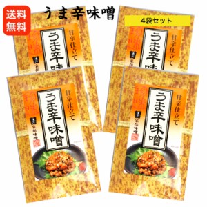 送料無料 うま辛味噌（竹紙） 4袋セット うまから味噌 からみそ 辛子味噌 味噌 信州 家伝味噌 からし味噌 青唐辛子味噌 安曇野 ごはんの