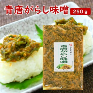 青唐がらし味噌 (250g) ご飯のお供 お酒のおつまみ 青唐辛子味噌 青唐 味噌 みそ ピリ辛 信州 馬場音一商店 まざっせこらっせ