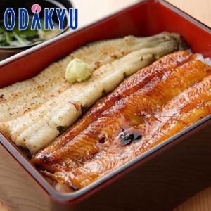 父の日 遅れてごめんね 浜松・浜名湖 うなぎ蒲焼白焼 2人前 110 g×2 【7-10日程度のお届け】※沖縄・離島へは届不可