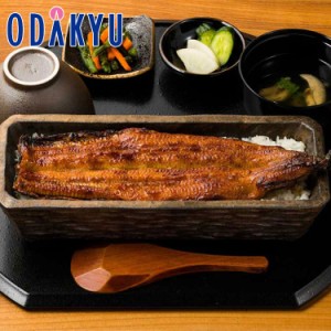 父の日 ギフト 名古屋 うなぎ 四代目菊川 炭火手焼き一本うなぎ蒲焼 【指定日※6/14-16届】※沖縄・離島へは届不可