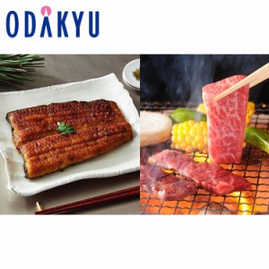 父の日 ギフト 京都 まえはら 炭火手焼きうなぎ蒲焼と飛騨牛焼肉用 詰め合わせ 【指定日※6/14-16届】※沖縄・離島届不可