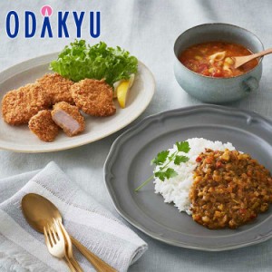 父の日  ［ RFFF ］ 夏の食卓に キーマカレー ＆ ミニひれカツ・スープ 【指定日※6/14-16届】※沖縄・離島届不可