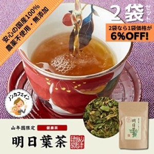 明日葉茶 40g 伊豆諸島で採れた明日葉茶 ノンカフェイン 【国産 無農薬 100%】 巣鴨のお茶屋さん 山年園 【2袋セット】