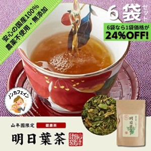 明日葉茶 40g 伊豆諸島で採れた明日葉茶 ノンカフェイン 【国産 無農薬 100%】 巣鴨のお茶屋さん 山年園 【6袋セット】