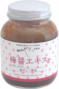 レビュー投稿で+５％プレゼント｜ 梅醤エキス 250g 「梅干し＋醤油」 有機梅干し使用 いんやん倶楽部 【2個セット】　