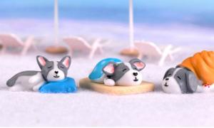 テラリウム ミニチュアの通販 Au Pay マーケット