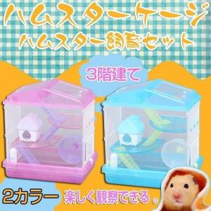 ハムスター 雑貨の通販 Au Pay マーケット