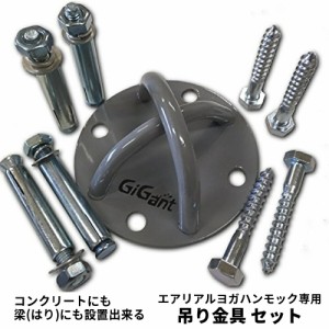 【送料無料★耐重量250kg】天井 吊り下げ 金具 フック 天井 壁 マウントキット ハンモック チューブトレーニング ハンキングチェアー エ