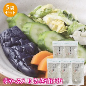 あさ漬け塩 芽かぶ入り 5個セット 送料無料 塩 焼塩 万能 ソルト 国産 めかぶ 調味料 あさ漬け 浅漬 漬物 漬け物 おにぎり 天ぷら だし 