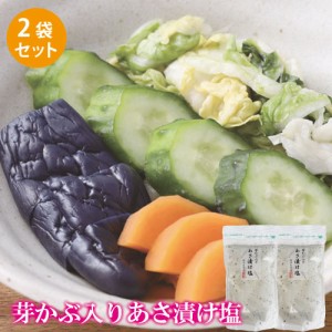 あさ漬け塩 芽かぶ入り 2個セット 送料無料 塩 焼塩 万能 ソルト 国産 めかぶ 調味料 あさ漬け 浅漬 漬物 漬け物 おにぎり 天ぷら だし 