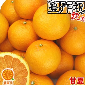 愛媛産 甘夏(あまなつ) 5kg 訳あり・不揃い【送料無料(一部地域除く)】愛媛県産 家庭用 フルーツ 旬の果物 くだもの 果実 青果 食品 みか