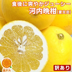 愛媛産 河内晩柑 7kg 訳あり【送料無料(一部地域除く)】不揃い 愛媛県産 夏文旦 和製グレープフルーツ ばんかん 宇和ゴールド みしょうか