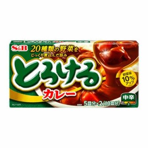 【Go In Eat】ヱスビー食品 とろけるカレー 中辛 180g  io