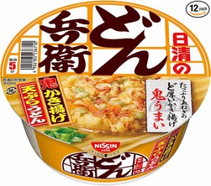 【賞味期限切れ】【Go In Eat】日清食品 どん兵衛 かき揚げ天ぷらうどん 97g【賞味期限 2024/5/14】