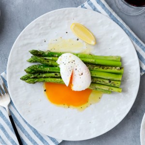 プレート 24cm スレート調 ホワイトプレート おしゃれ  皿 食器 和食器 大皿 ディナープレート ワンプレート 盛り皿 パスタ皿 主菜皿 メ