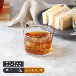 ガラスカップ 230cc SIDRA レンジ・食洗機OK グラス コップ カップ ガラス食器 ガラス製 食器 アイスティー カクテル ハイボール 来客食