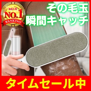 ホコリ取り エチケット用 ブラシ 毛玉取り ハンディクリーナー 携帯  両面対応可能 18cm ペット 毛玉 クリーナー 犬 猫 抜け毛 車のシー