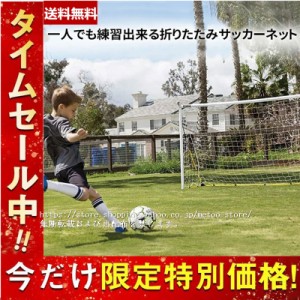 サッカー 練習 網 フットサル ゴール サッカー ボール アウトドア ジュニア 女の子 男の子 スポーツ 用品 ゴール ネット トレーニング 試