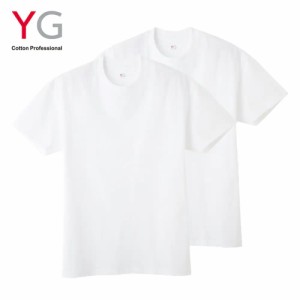 YG クルーネックＴシャツ 2枚組 GUNZE グンゼ ワイジー メンズ YV08132 M L LL 天竺 Ｔシャツ 丸首 インナー アウター カジュアル 2Pパッ