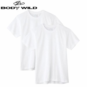 【2枚組】M-LLサイズ BODY WILD ボディワイルド GUNZE グンゼ クルーネックＴシャツ 丸首 紳士 年間シャツ BW50132 ST01M GUNZE11