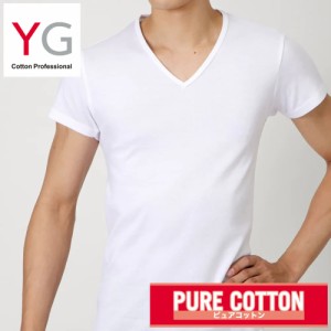 グンゼ YG Ｔシャツ Ｖネック 綿100 GUNZE YG 男性下着 ＶネックＴシャツ 紳士 YV0015N 綿100％ コットン メンズ 男性用 紳士 半袖 抗菌