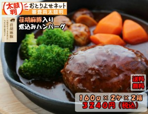 えごま豚入り　煮込みハンバーグ　ハンバーグ　手作り　お惣菜　惣菜　送料無料　　荏胡麻豚　えごま豚　160g　2ケ入り　2箱　合計4ケ　