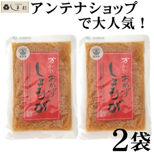 万能おかずしょうが 130g 2袋 セット 万能おかず生姜 四国建商 送料無料