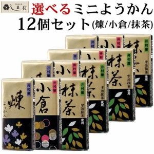 「 選べる ミニようかん 58g 12個 セット 」 羊羹 ようかん 井村屋 煉 抹茶 小倉 送料無料 メール便