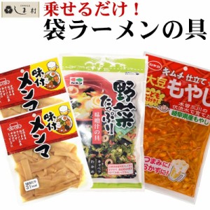 インスタントラーメンの具セット 約4人前 即席 アレンジ 袋ラーメン メール便 1000円ポッキリ 送料無料 メンマ もやし