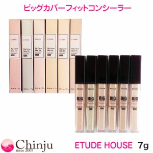 エチュードハウス ビッグカバーフィットコンシーラー 7g コンシーラー ETUDE HOUSE 化粧下地 カバー 韓国コスメ 観光化粧品