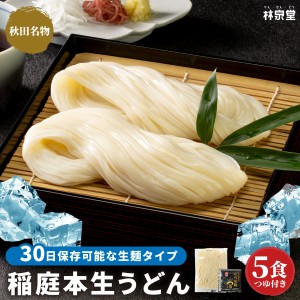 【ゆうパケット 送料無料】稲庭本生うどん 5食（本生うどん＆比内地鶏濃縮めんつゆ）