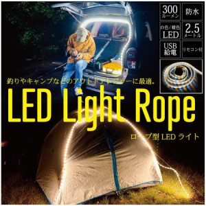 LED 防水 ロープ ライト 2.5m リモコン付   キャンプ アウトドア USB給電式ライト フィッシィング 焚き火