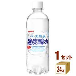 日本サンガリア 伊賀の天然水　強炭酸水  500 ml×24本×1ケース (24本) 飲料