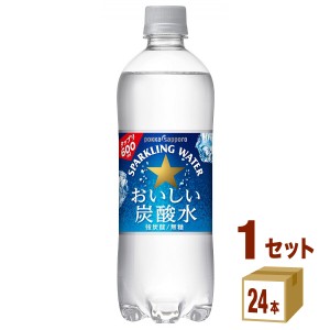 強炭酸水 ポッカサッポロ おいしい炭酸水  600ml×24本×1ケース (24本) 飲料