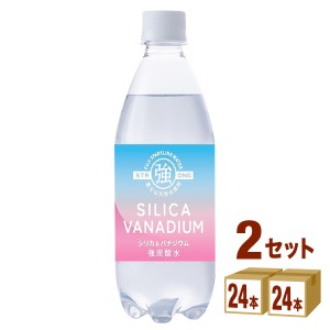 友桝飲料 シリカ＆バナジウム強炭酸水 ペット 500ml×24本×2ケース (48本) 飲料