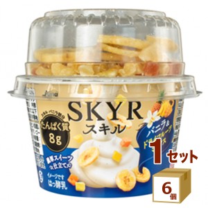 日本ルナ  SKYR スキル バニラ&ドライフルーツミックス 100g×6個 食品【チルドセンターより直送・同梱不可】