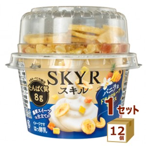 日本ルナ  SKYR スキル バニラ&ドライフルーツミックス 100g×12個 食品【チルドセンターより直送・同梱不可】