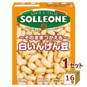 ソルレオーネ そのまま使える 白いんげん豆 テトラパック 紙パック インゲン豆 380g×16箱 食品