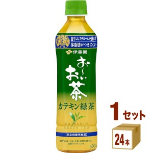 伊藤園 特保 お〜いお茶 カテキン緑茶  500ml×24本×1ケース (24本) 飲料