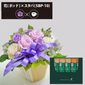 プリザーブドフラワー ＋ スターバックス プレミアムミックス コーヒーセット フラワーポッド (パープル) 送料無料(北海道・沖縄を除く) 